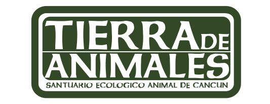 logo-tierra